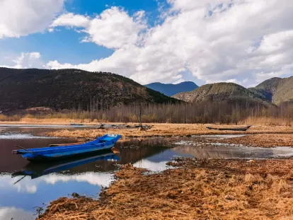 BigWins Kasino Apl Mudah Alih